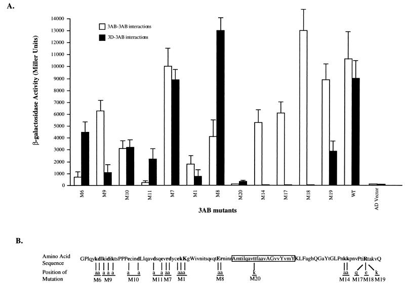 FIG. 3