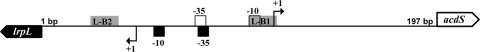 FIG. 2.