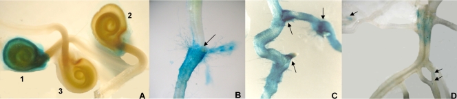 FIG. 4.
