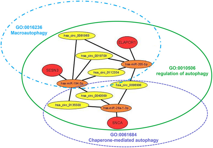 FIGURE 9