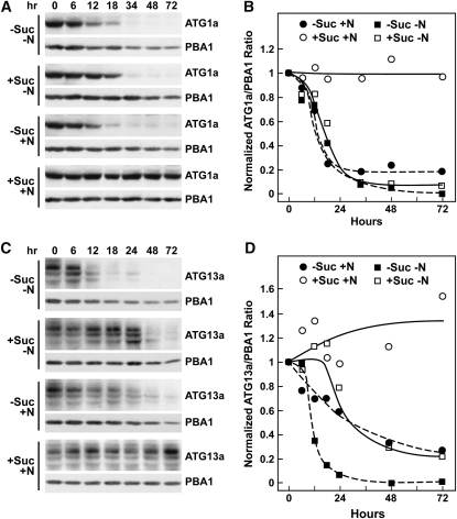 Figure 7.