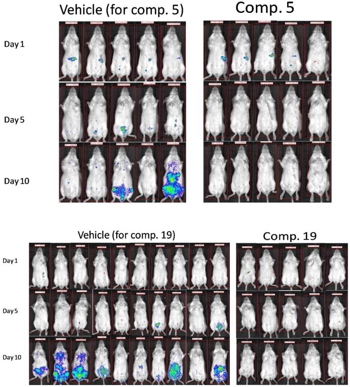 Fig 4