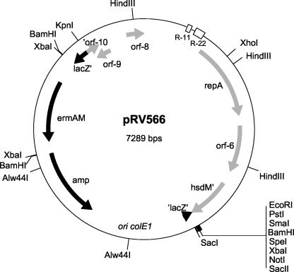 FIG. 5.