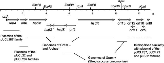 FIG. 1.