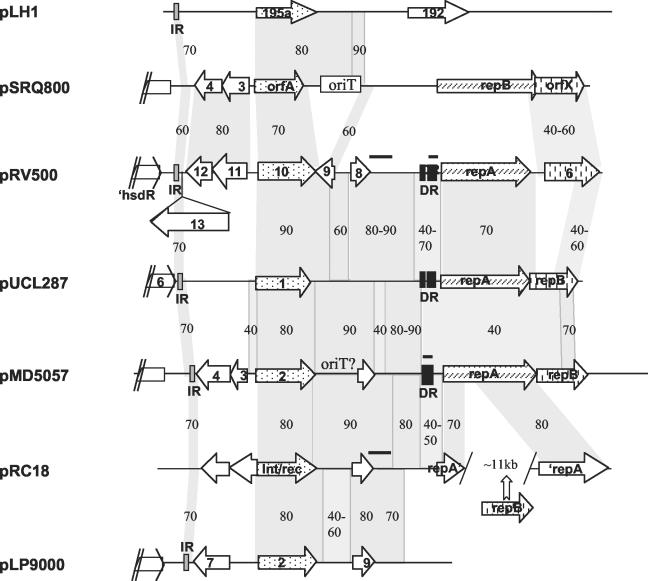 FIG. 4.