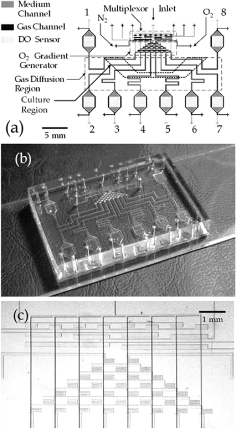 Figure 7.