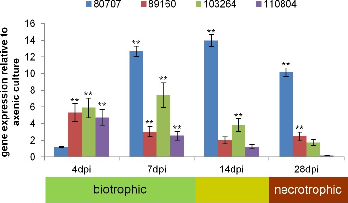 Fig 3