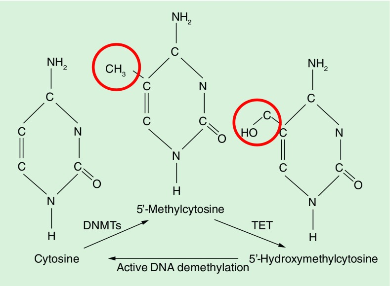 Figure 1. 