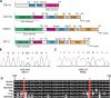 Figure 2.