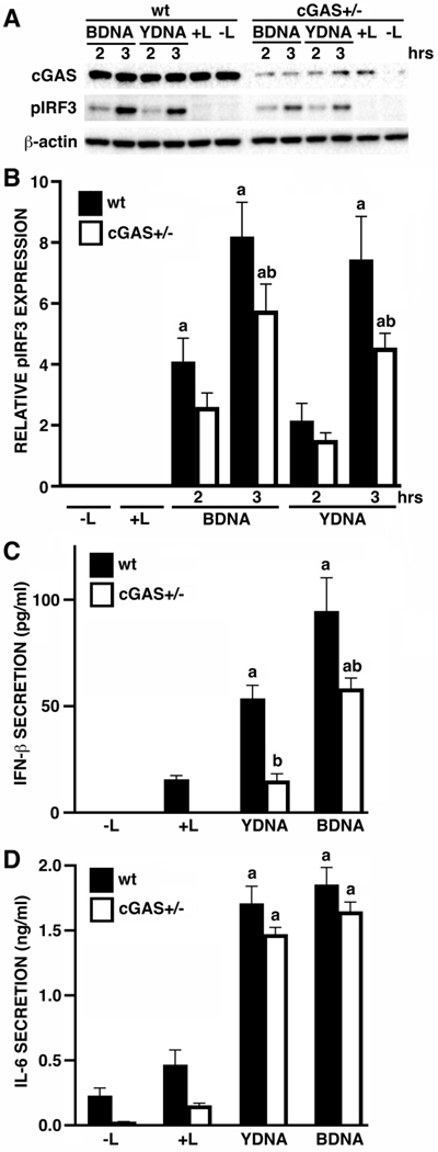 FIGURE 1: