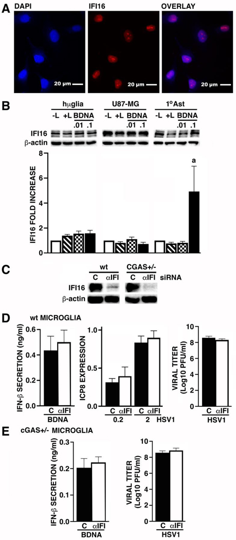 FIGURE 3: