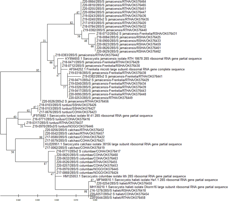 Fig. 3