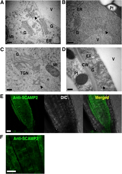 Figure 10.