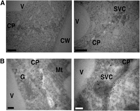 Figure 12.