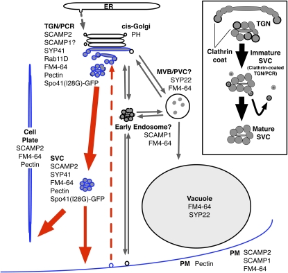 Figure 13.