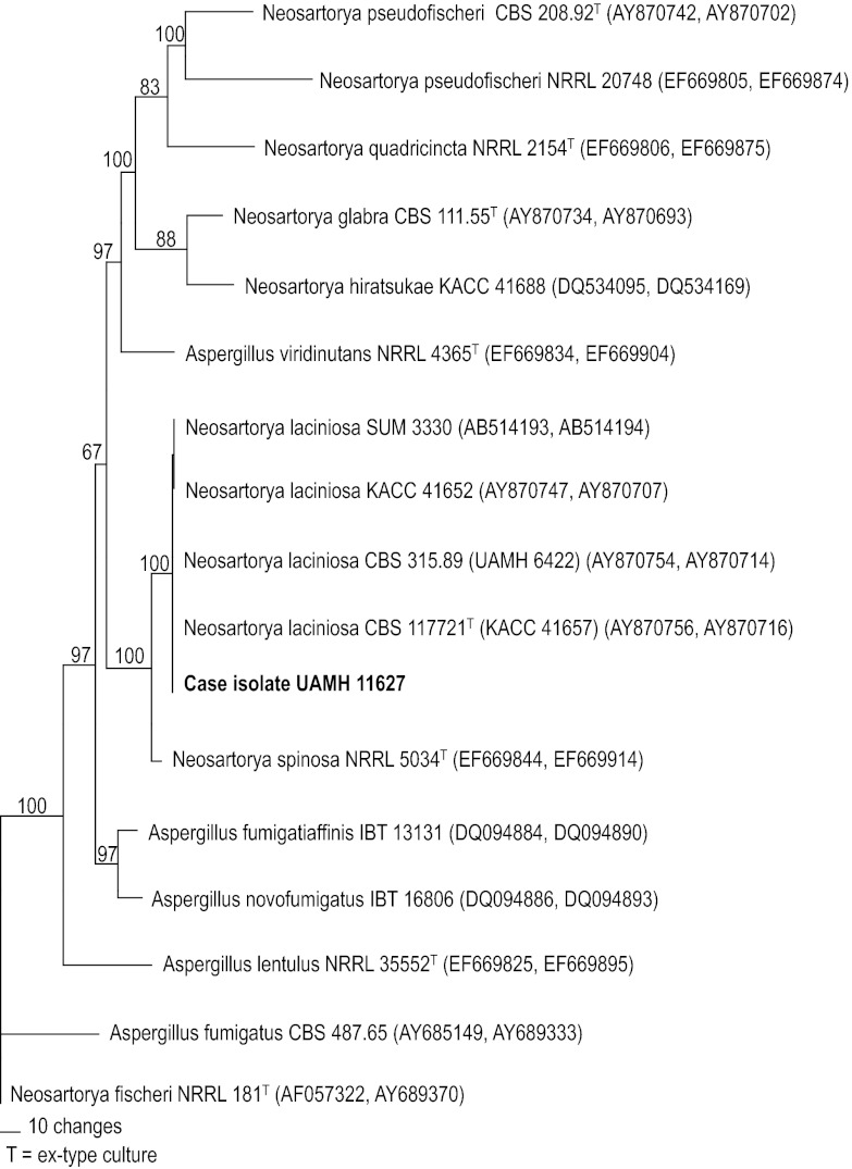 Fig 2