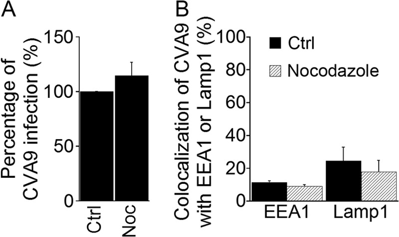 FIG 5