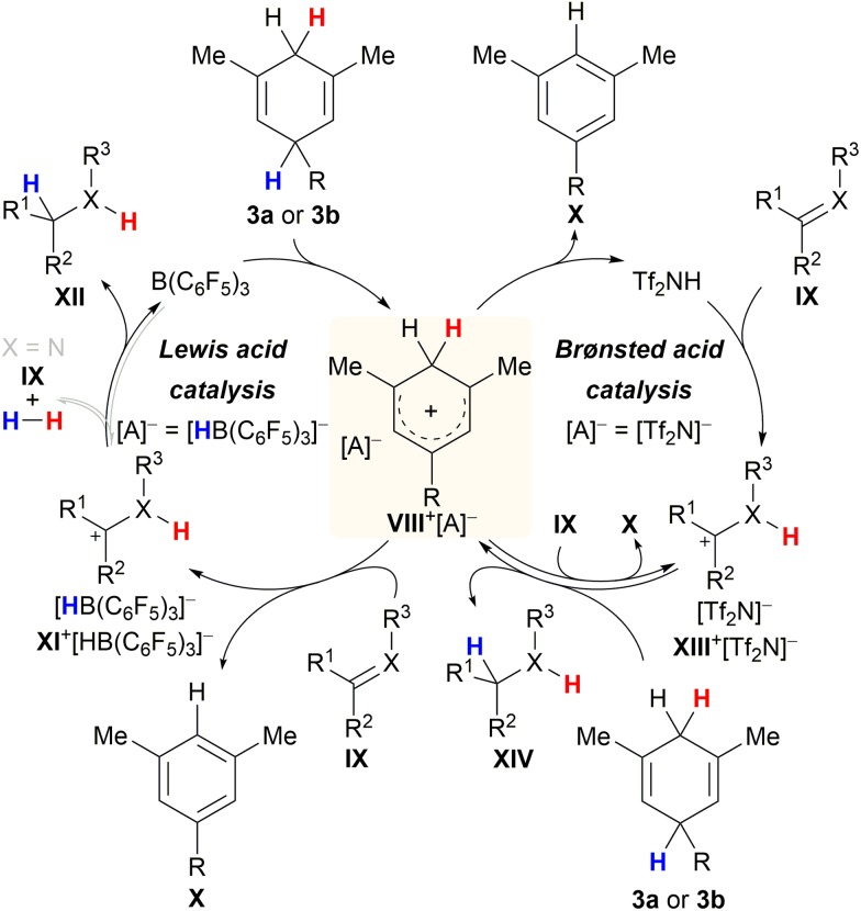 Scheme 6