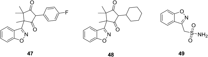 Fig. 10