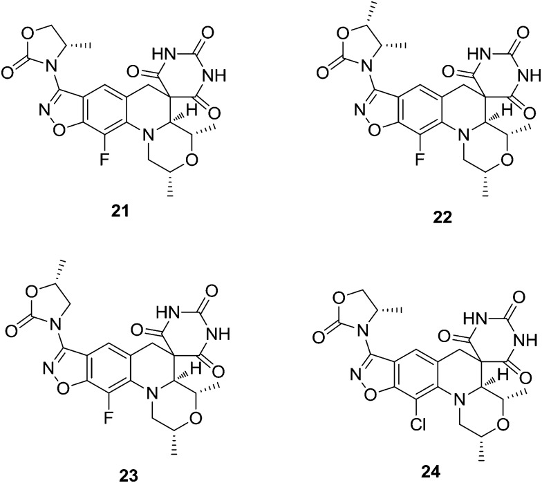 Fig. 3