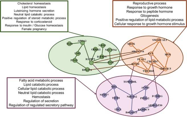 Figure 6