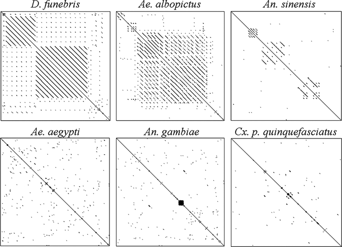 Figure 6.