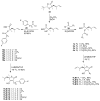 Scheme 2
