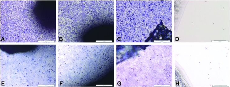 FIG. 5.