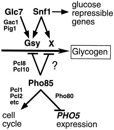 FIG. 9