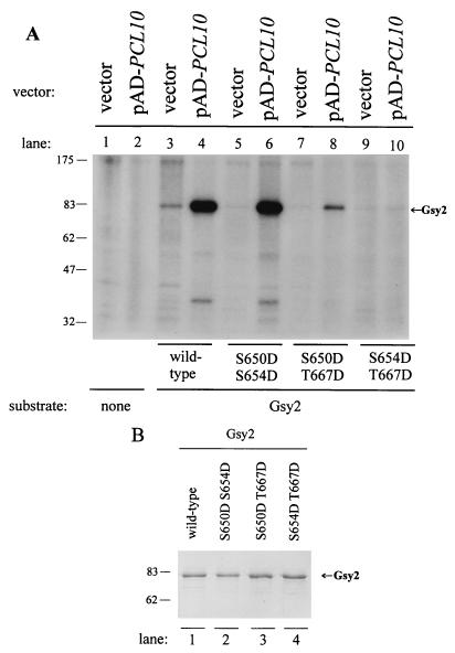 FIG. 6