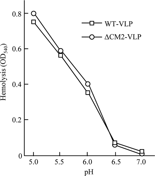 FIG. 5.