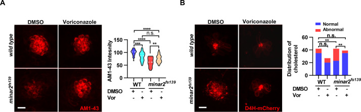 Figure 6—figure supplement 1.