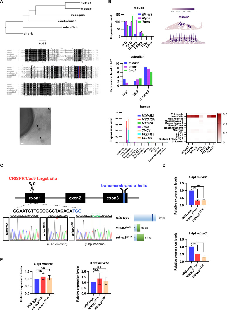 Figure 1—figure supplement 1.