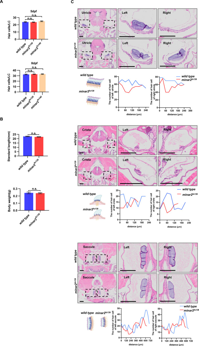 Figure 1—figure supplement 2.