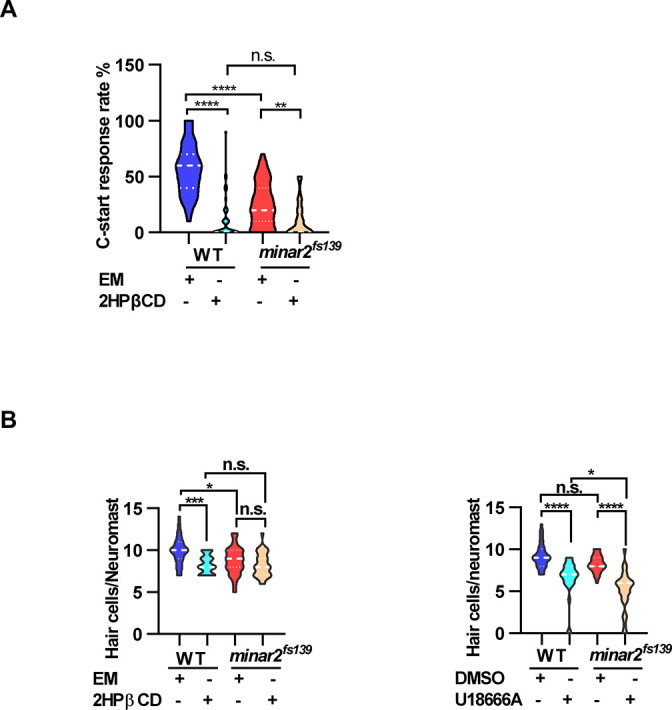 Figure 5—figure supplement 1.