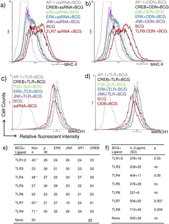 Figure-5