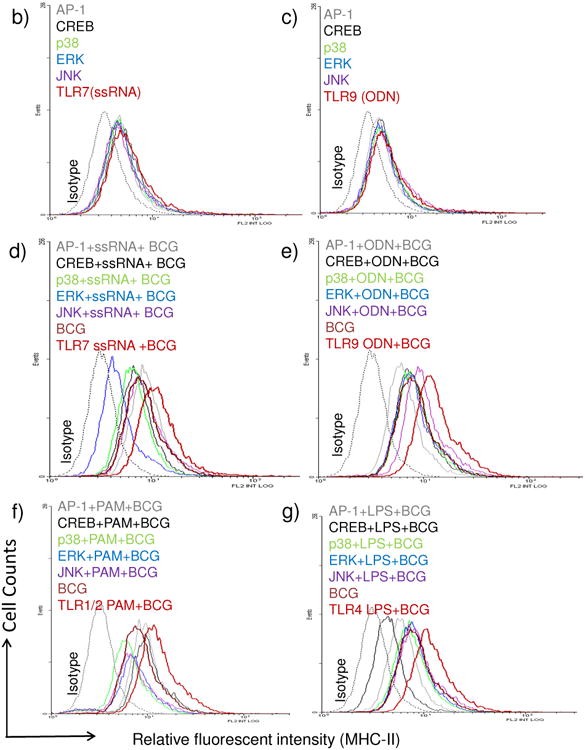 Figure-4