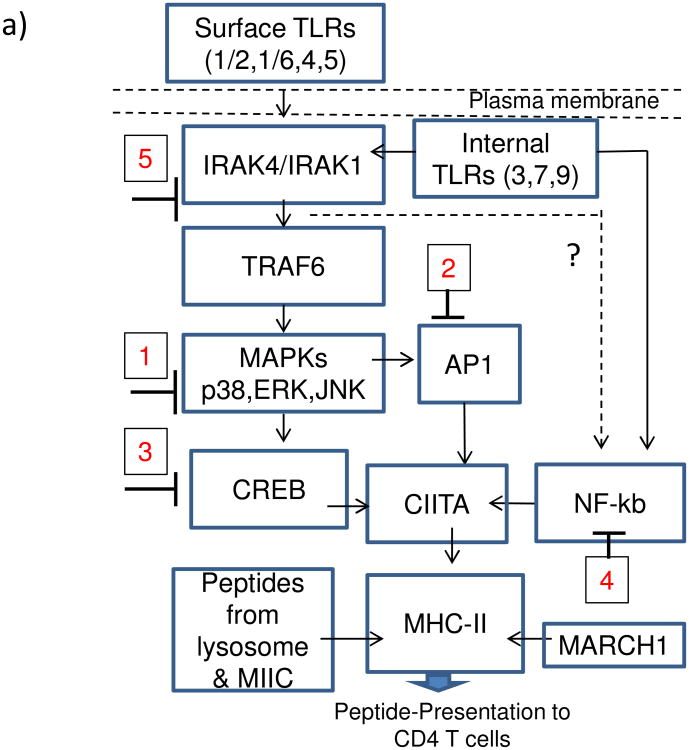 Figure-4