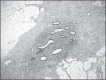 Figure 2A.