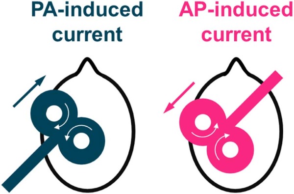 Figure 1