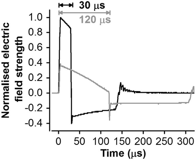 Figure 2