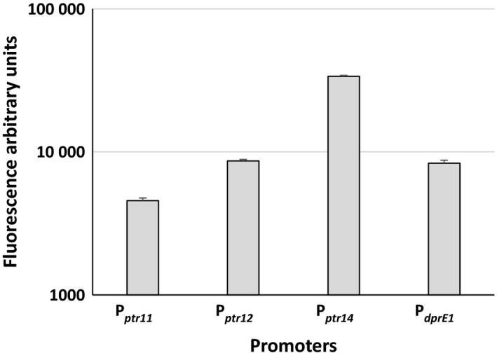 Figure 6