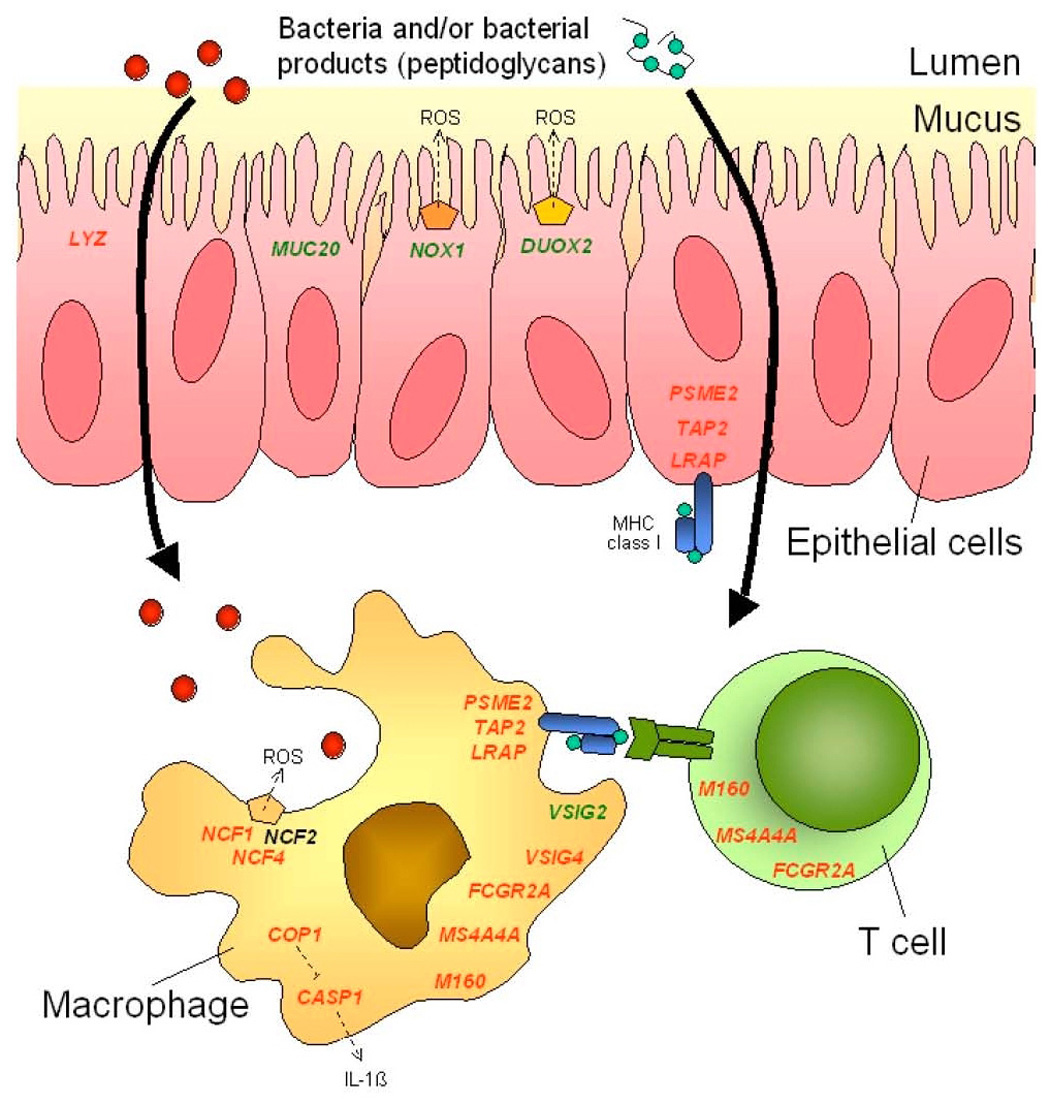 Figure 7