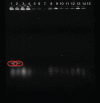 Figure 4)