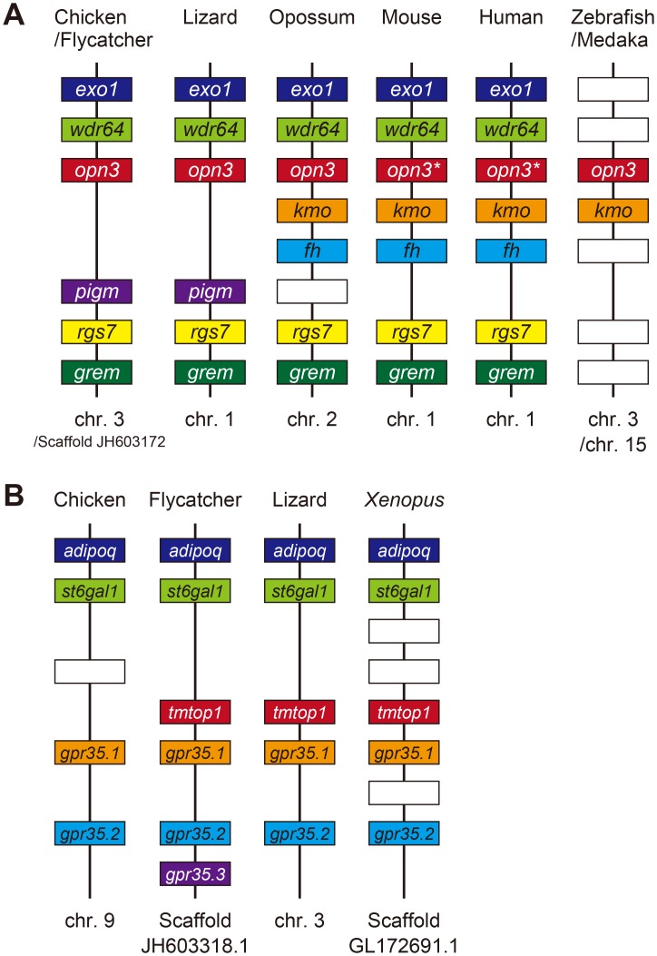 Fig 3