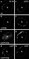 FIG. 6.