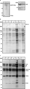 FIG. 2.