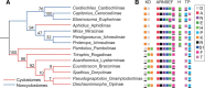 <sc>Fig</sc>. 2.—