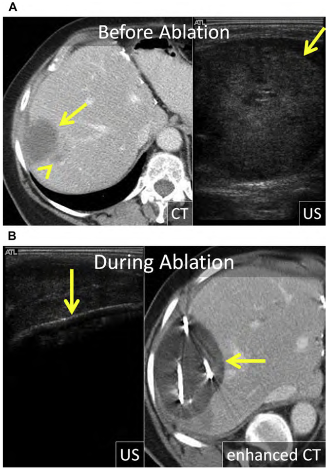 Fig. 9.