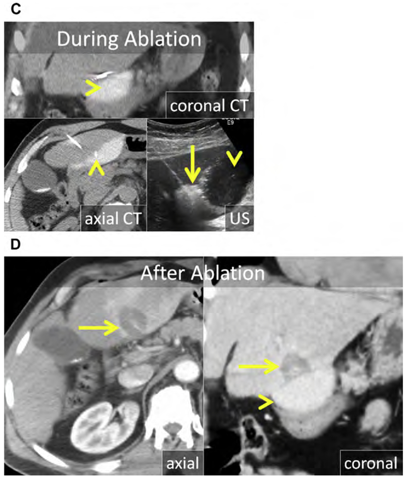 Fig. 8.